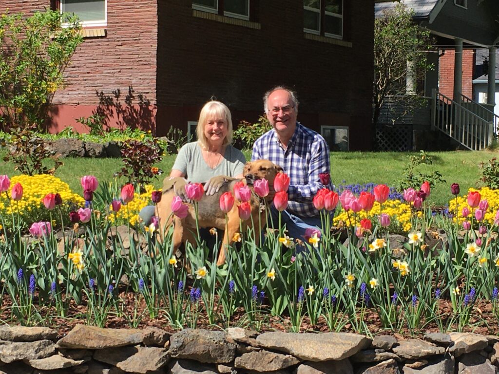 Spring Tulips and Daffodills